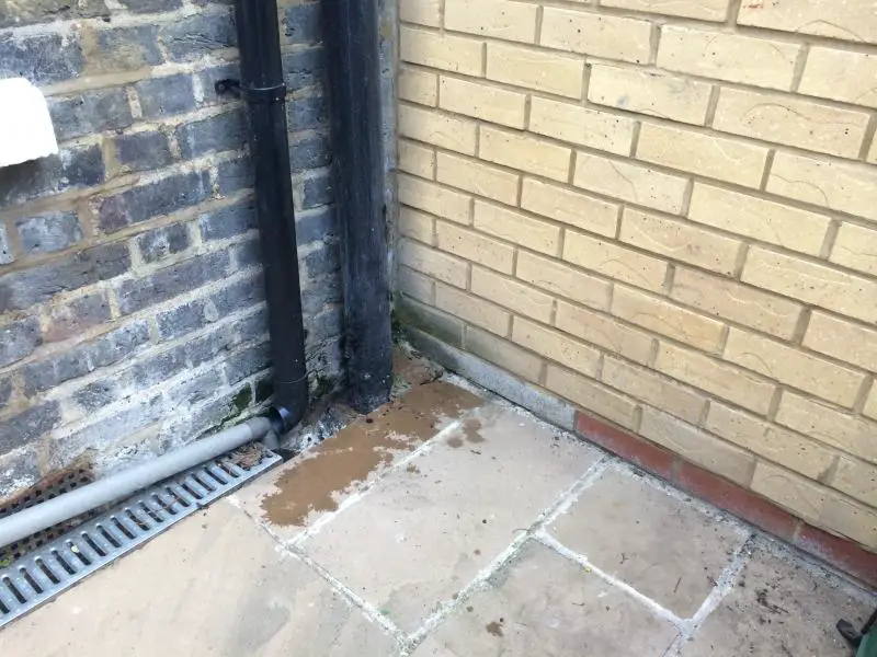 Damp brickwork in corner