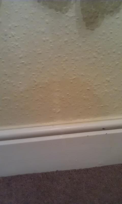 Damp Wall Inside Front 2