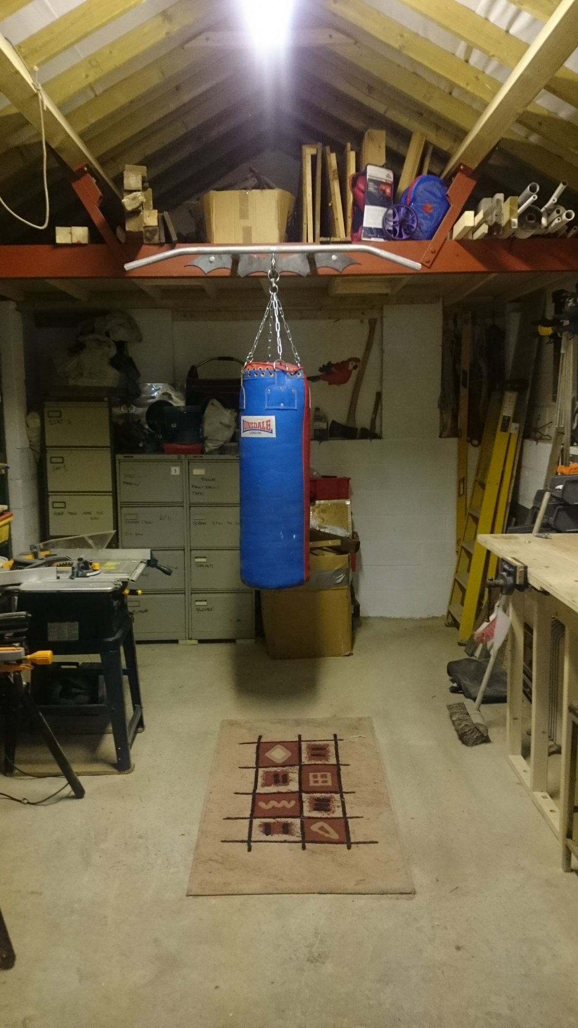 Pull-up bar and punch bag