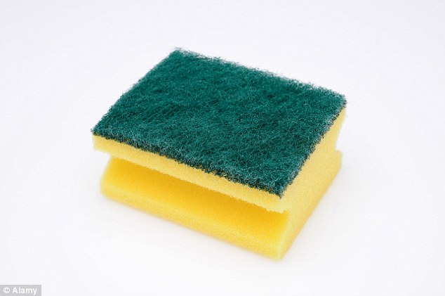Sponge Pad