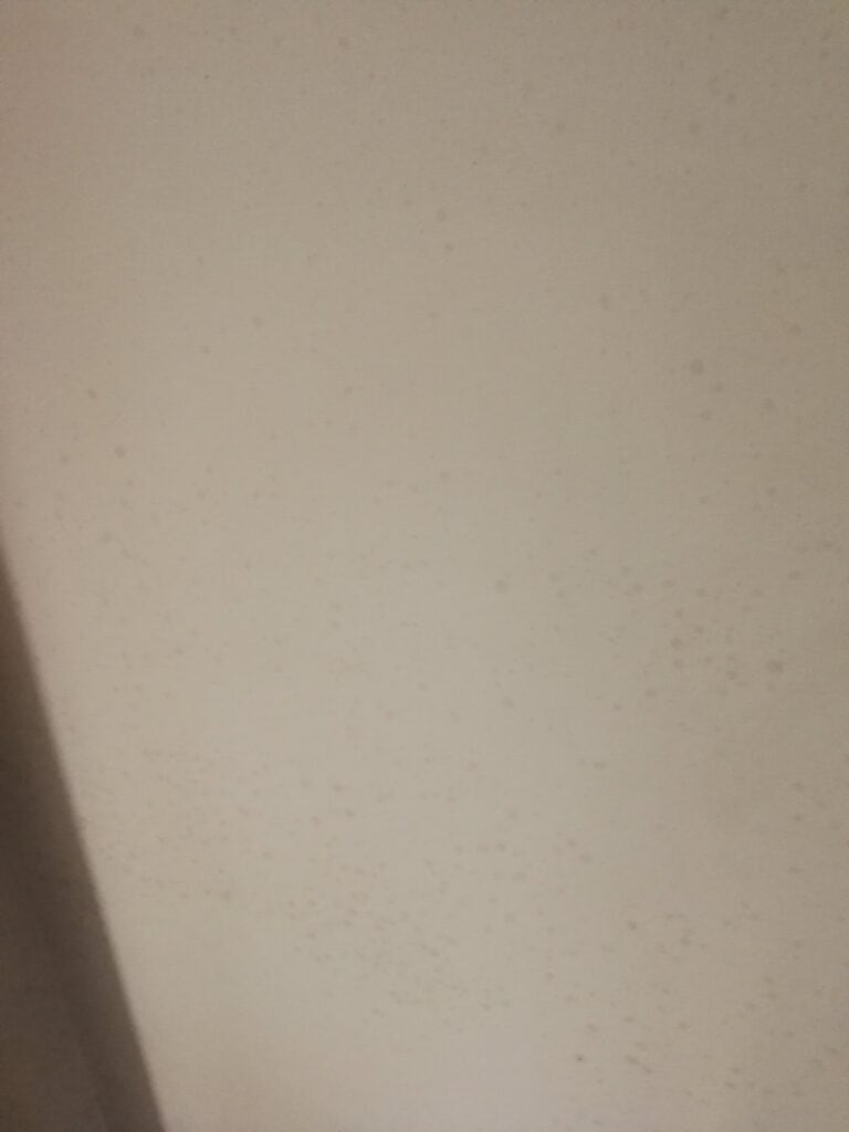 Wall repair after damp treatment