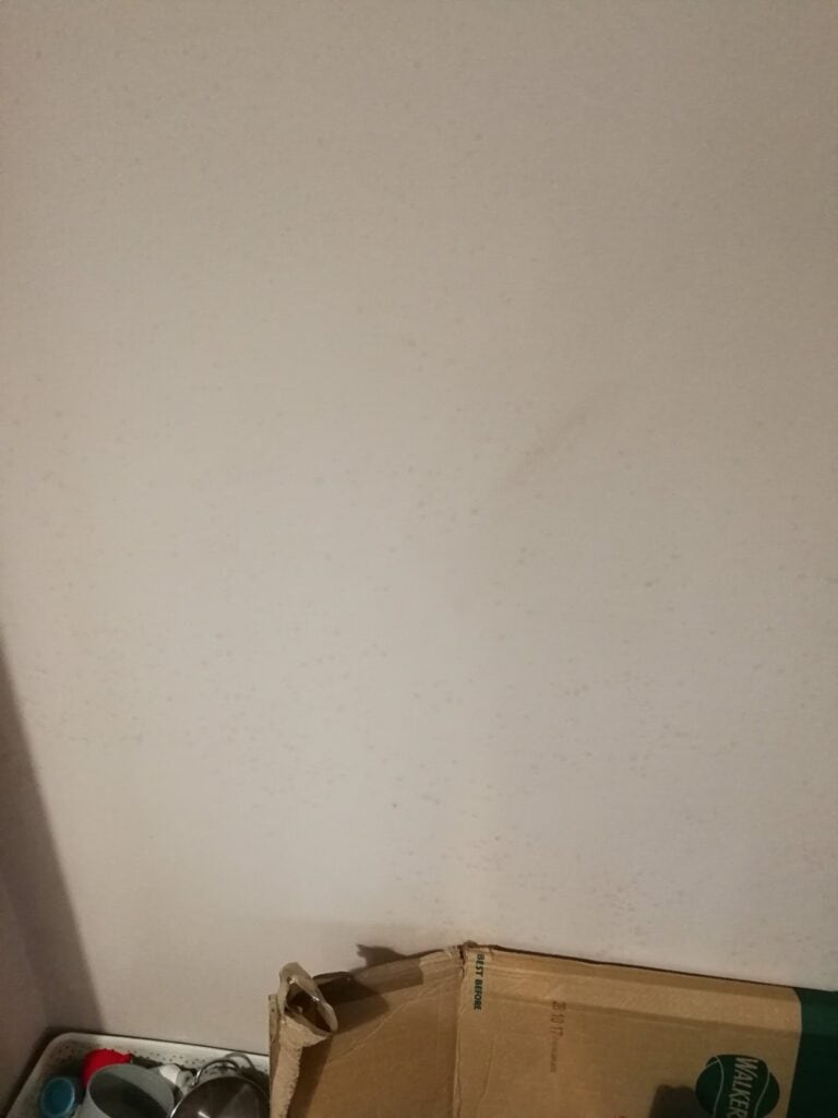 Living room wall showing damp