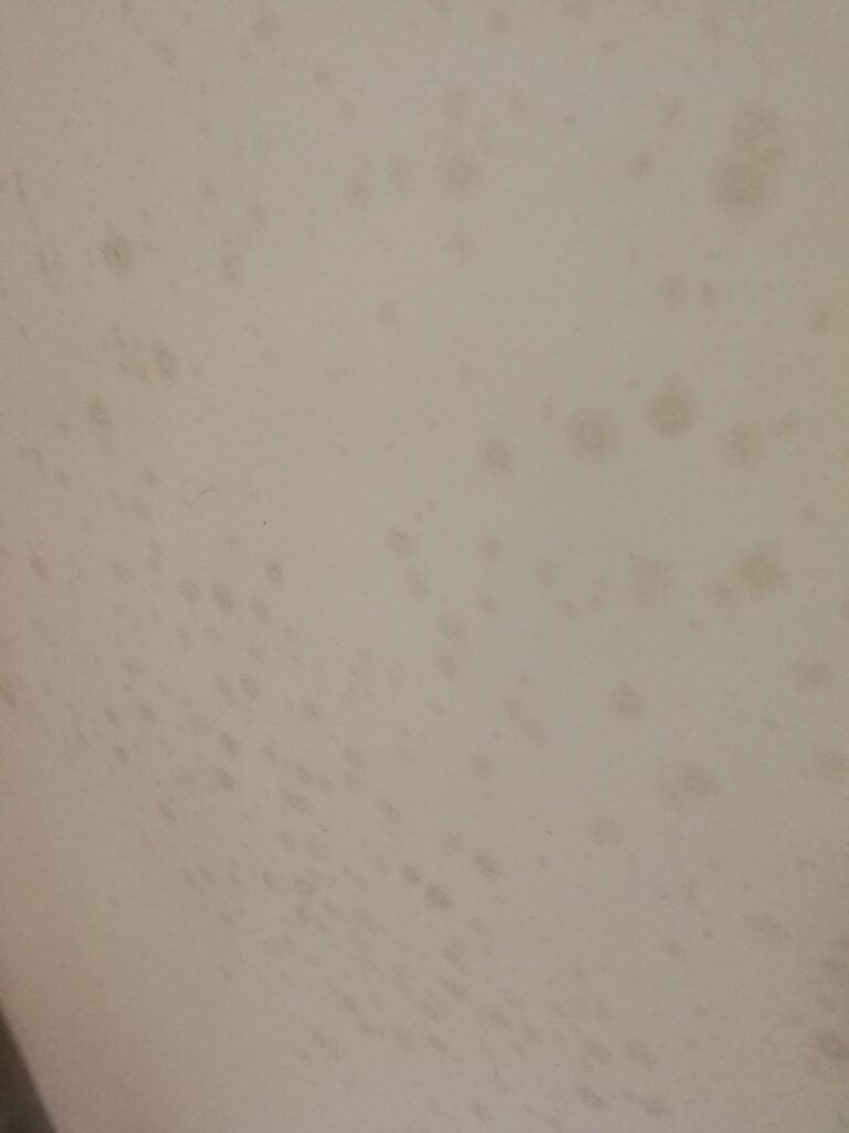 Damp spots on living room wall