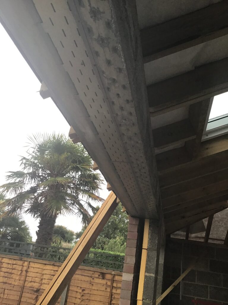 Underside view of a concrete block and beam floor or lintel spanning across a rear extension opening, supported by timber props, with a palm tree and garden fence visible behind