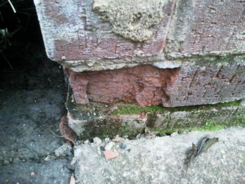 Bottom corner of a red brick wall showing heavily spalled and crumbling bricks at damp proof course level, with moss on the mortar and fragments of brick on the ground