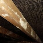Close-up of a wooden roof rafter in a loft space showing patchy white powdery deposits on the timber surface, with dark bitumen roofing felt visible above.