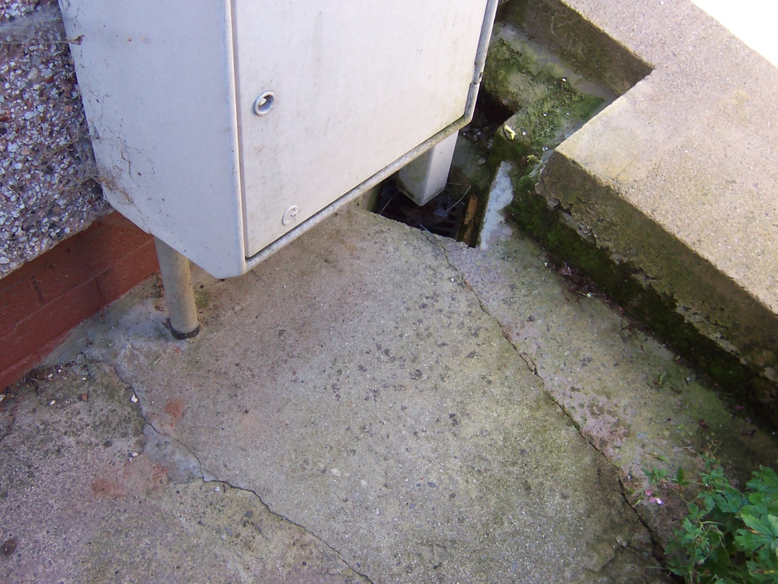 000_0718 (1) (1).JPG