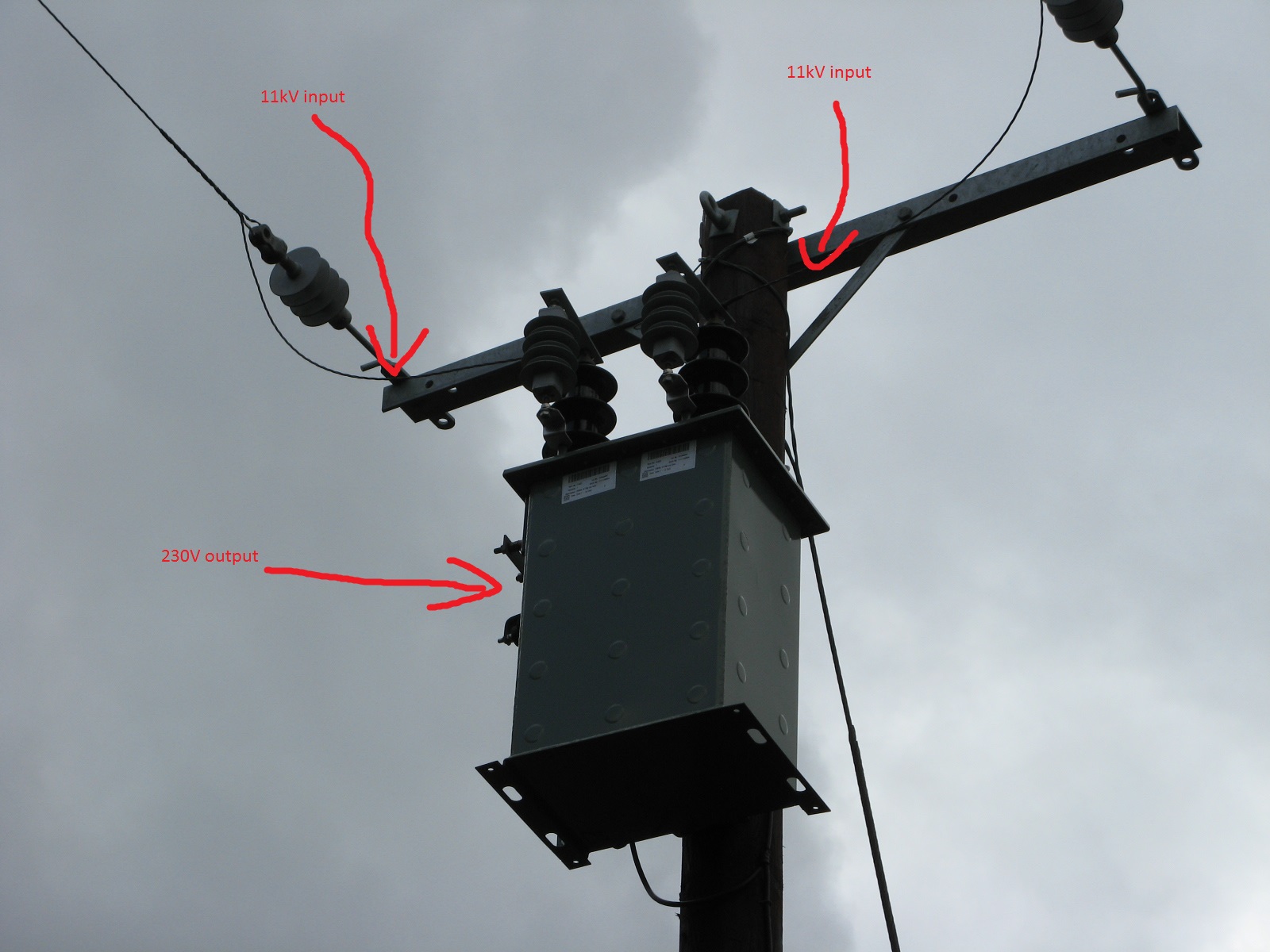 02 Transformer in Garden.JPG