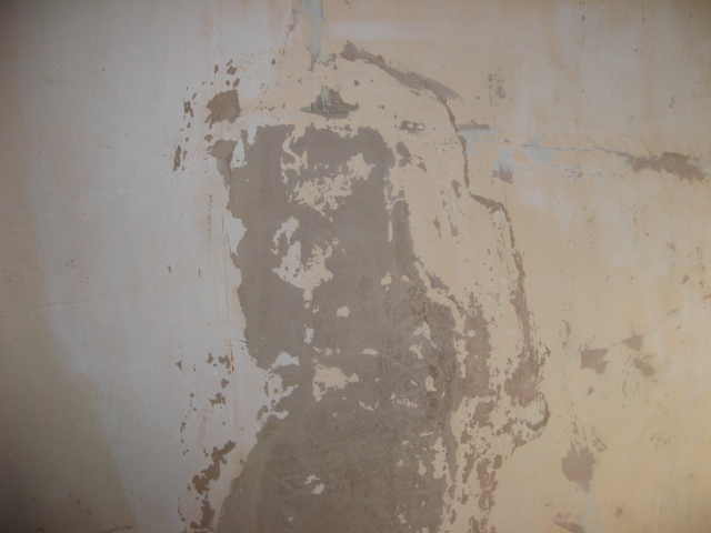 03 Spare Bedroom Plaster.JPG