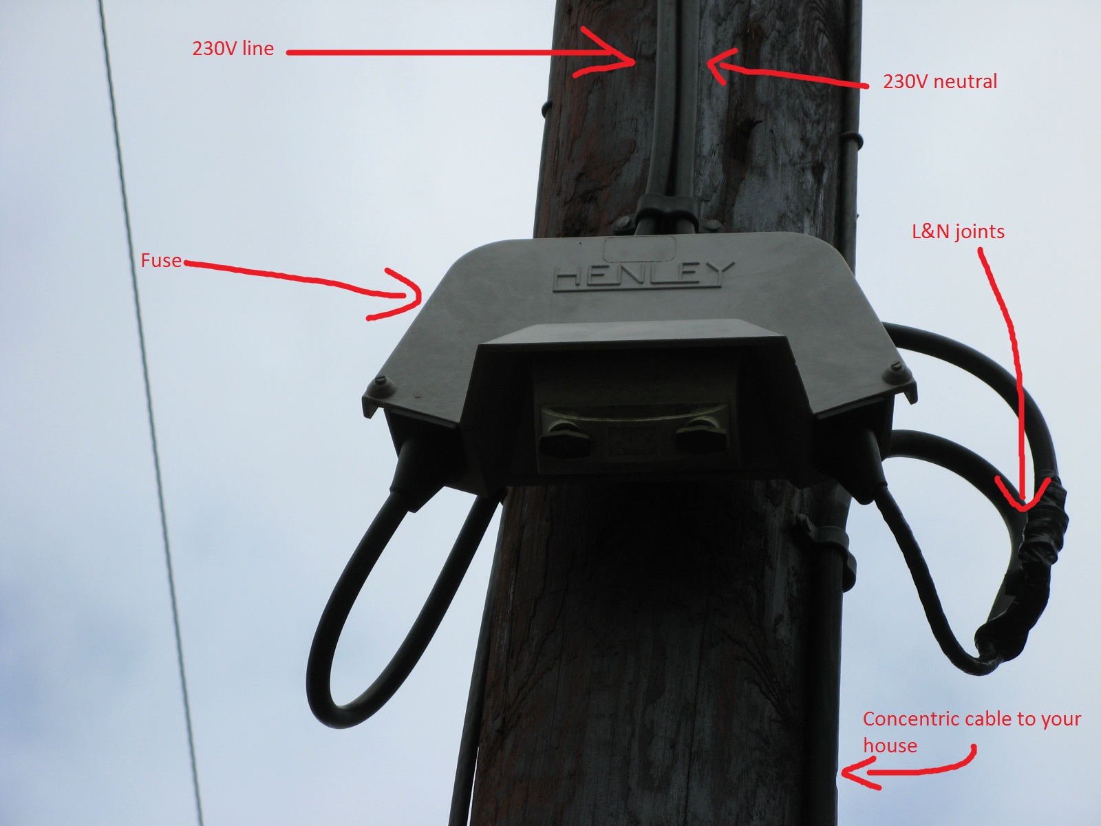 03 Transformer in Garden Henley.JPG