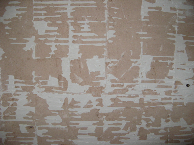 04 Bathroom Plaster and Adhesive.JPG