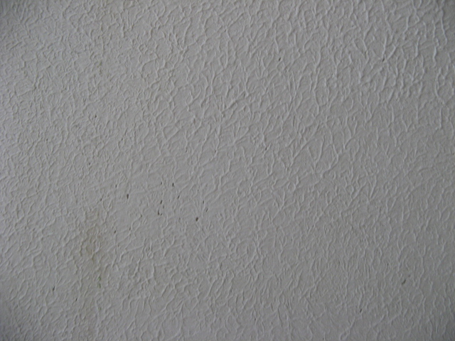 05 Bathroom Ceiling Artex.JPG