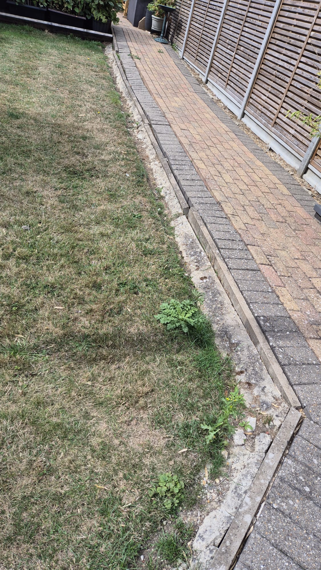 1000008585.jpg