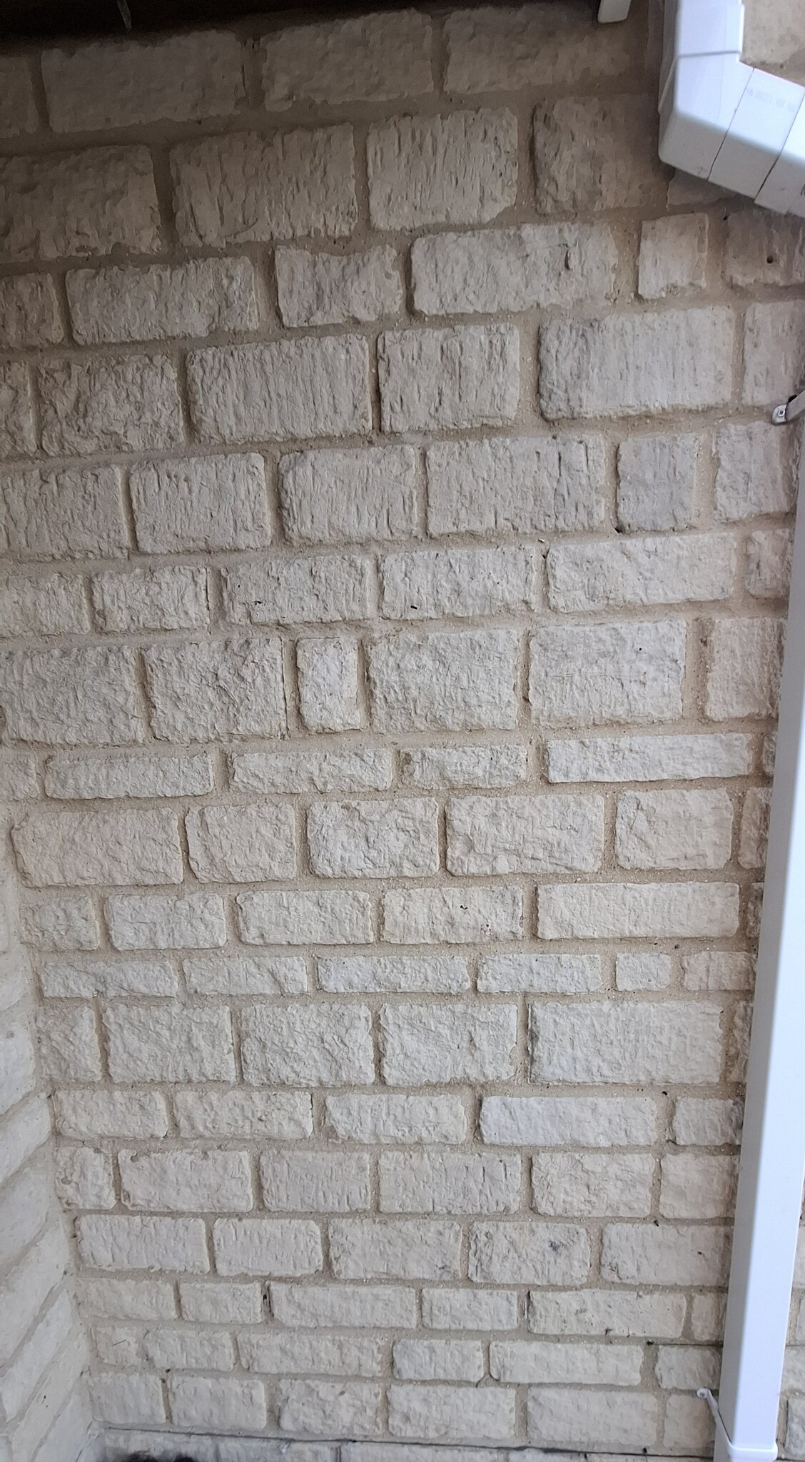 1000010242.jpg