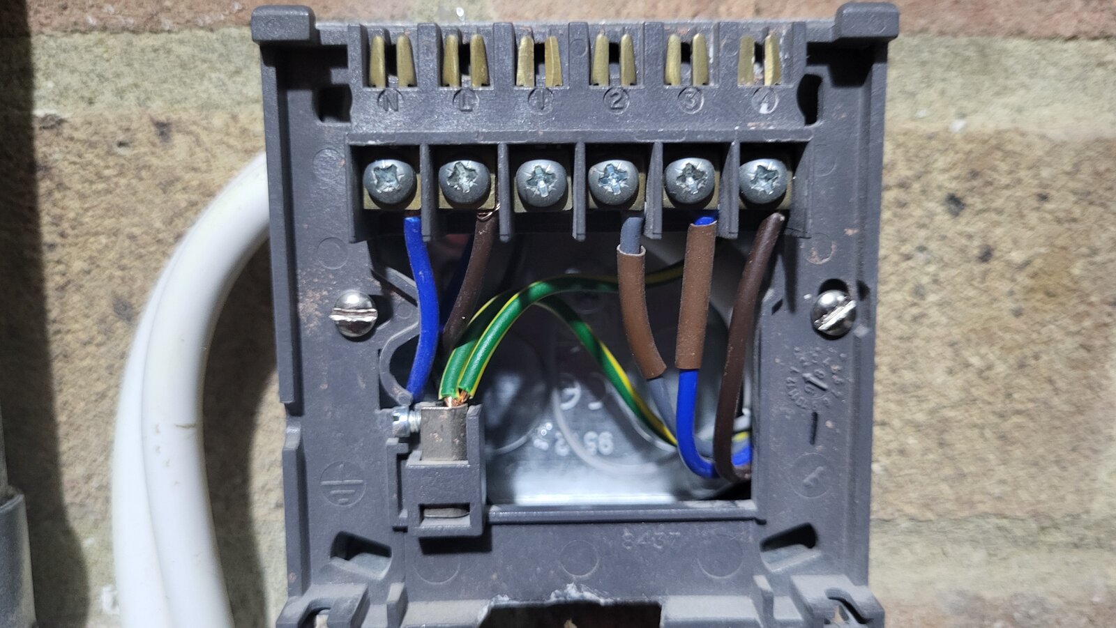 1000017144-jpg.393354