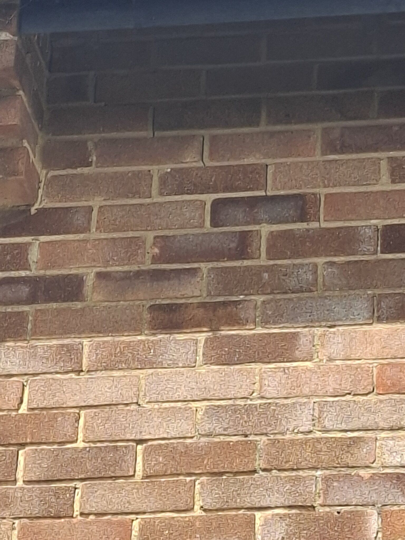1000023640.jpg