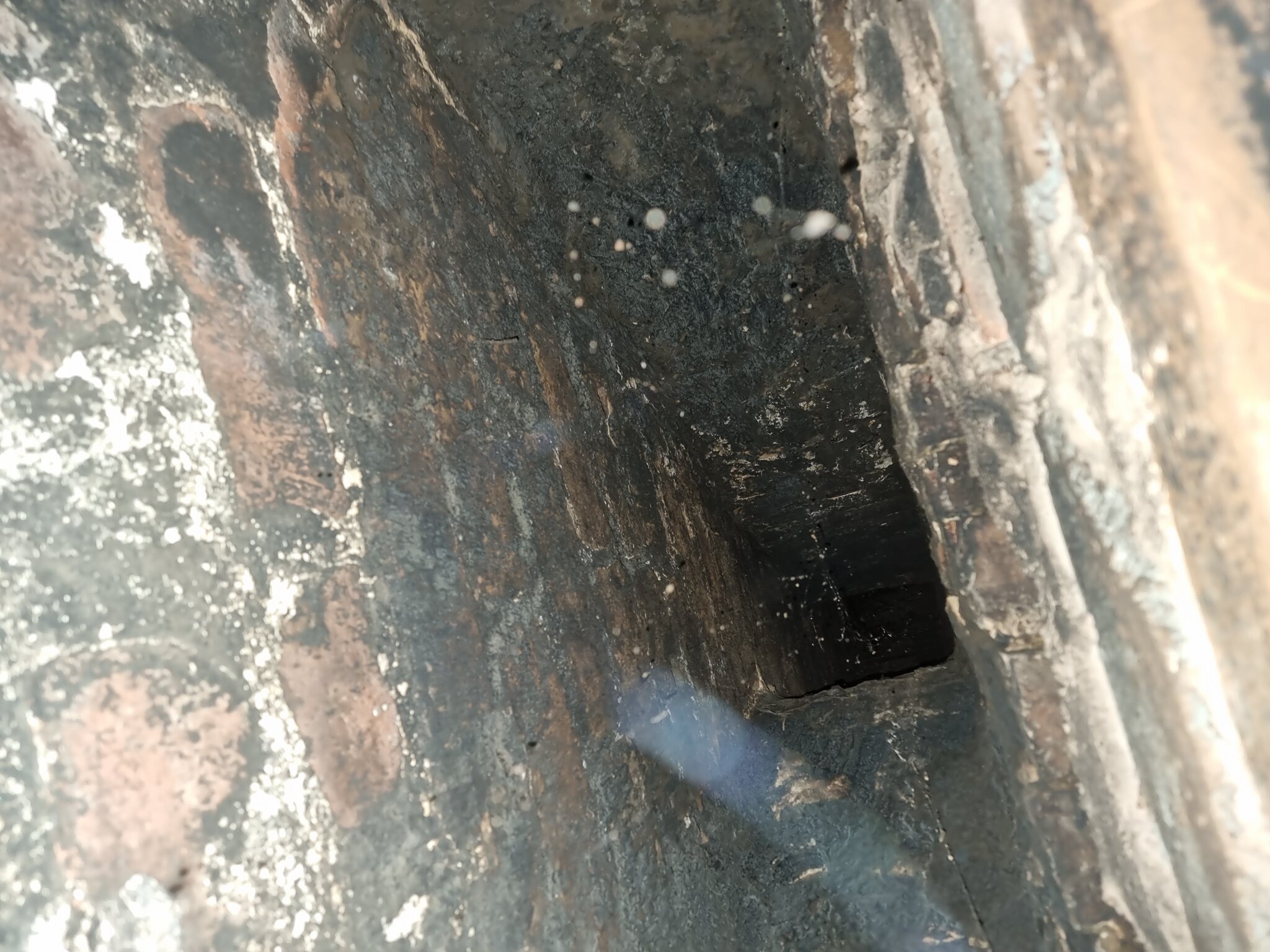 1000027962-jpg.411531