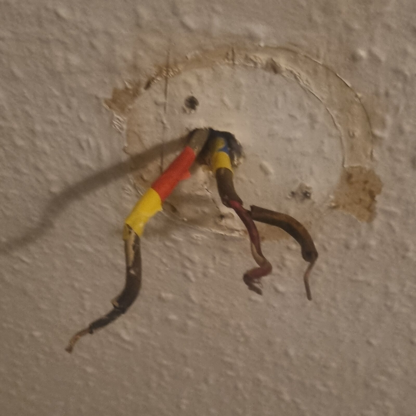 1000054782-jpg.348853