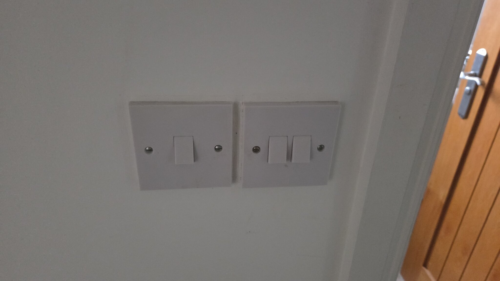 1000081086.jpg