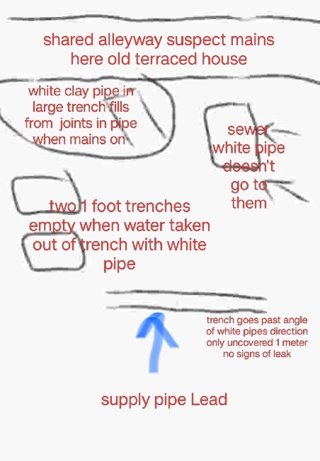 1000364734.jpg