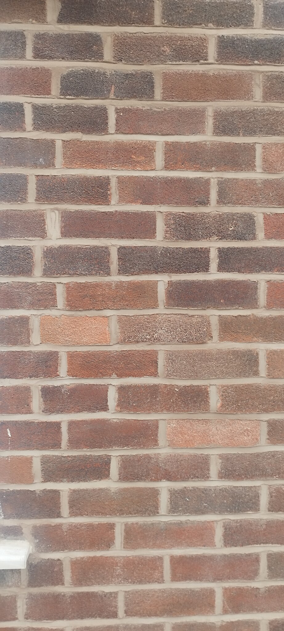 1000638683.jpg