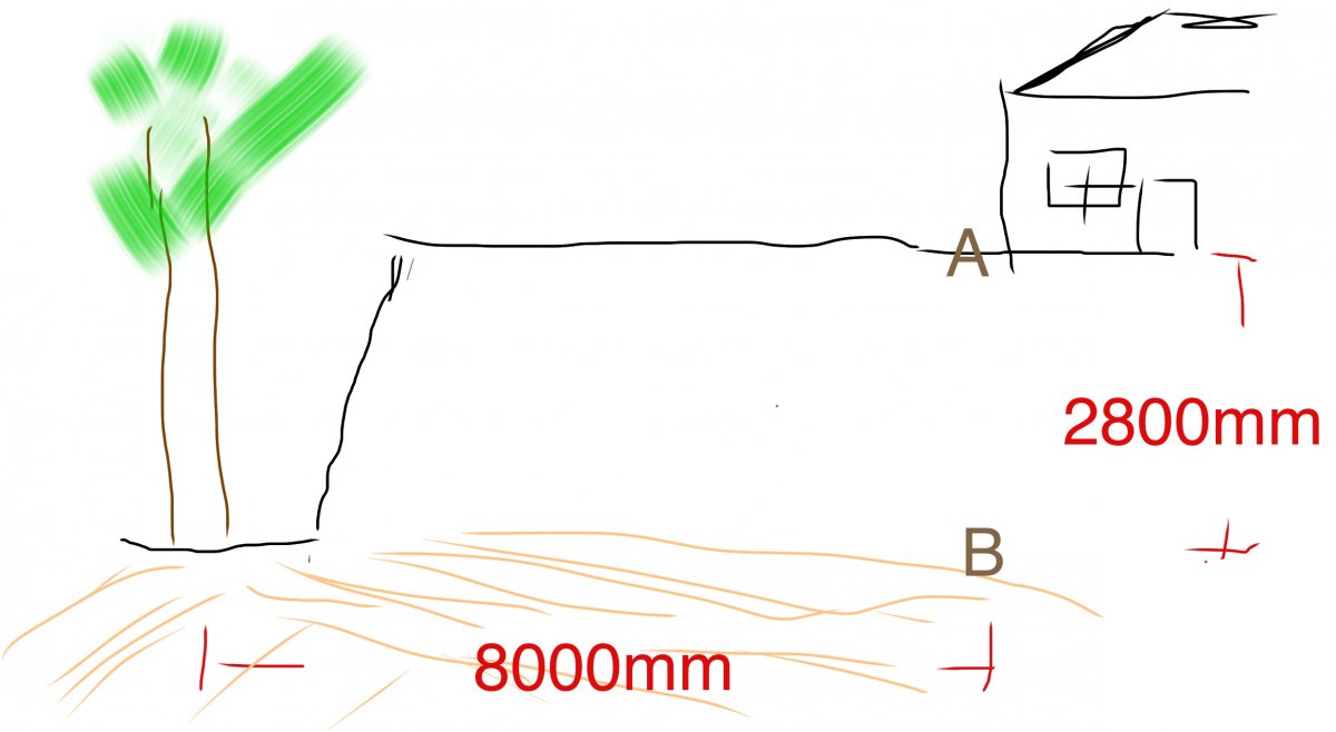 Foundations near trees ??? DIYnot Forums