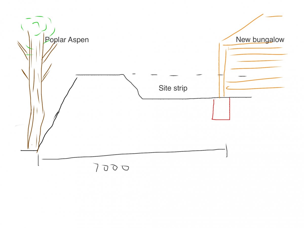 Footing depth near trees DIYnot Forums