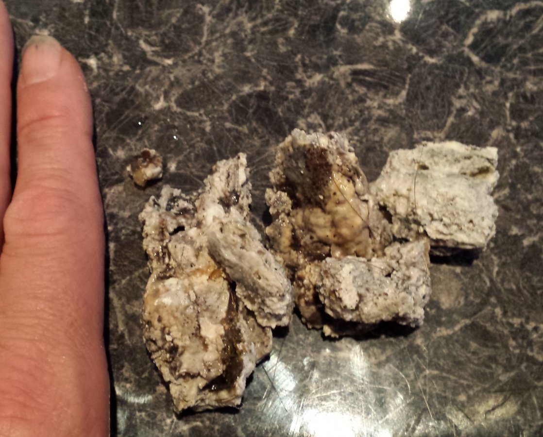 Blocked waste pipe? DIYnot Forums