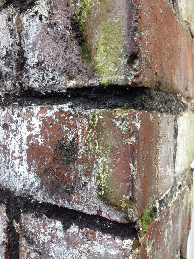 Is this mortar lime? DIYnot Forums