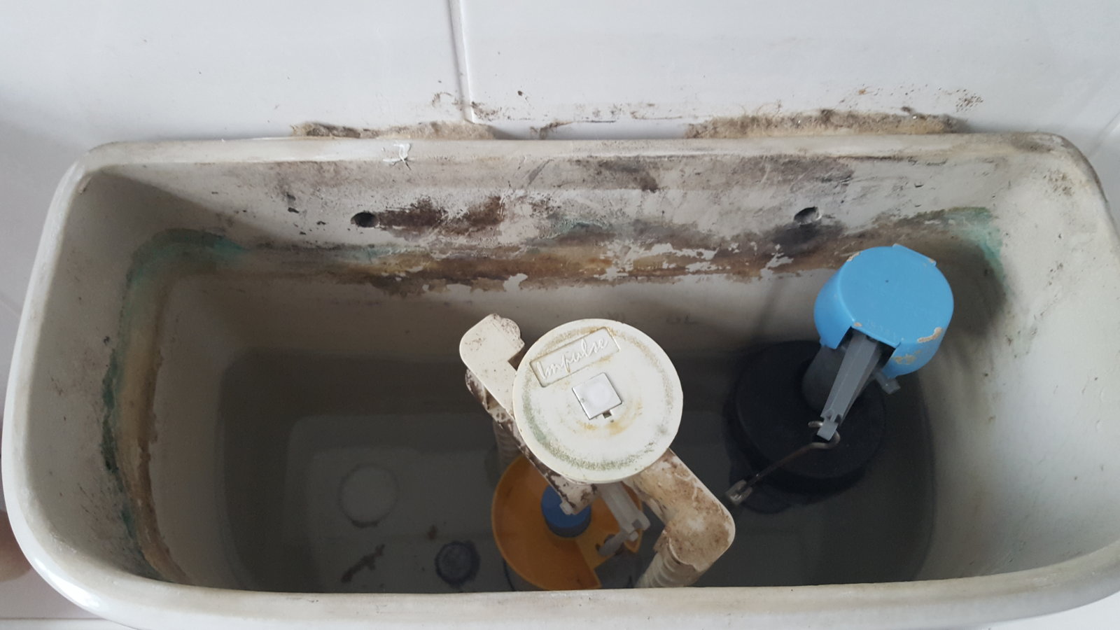 Replacement for impulse flush DIYnot Forums