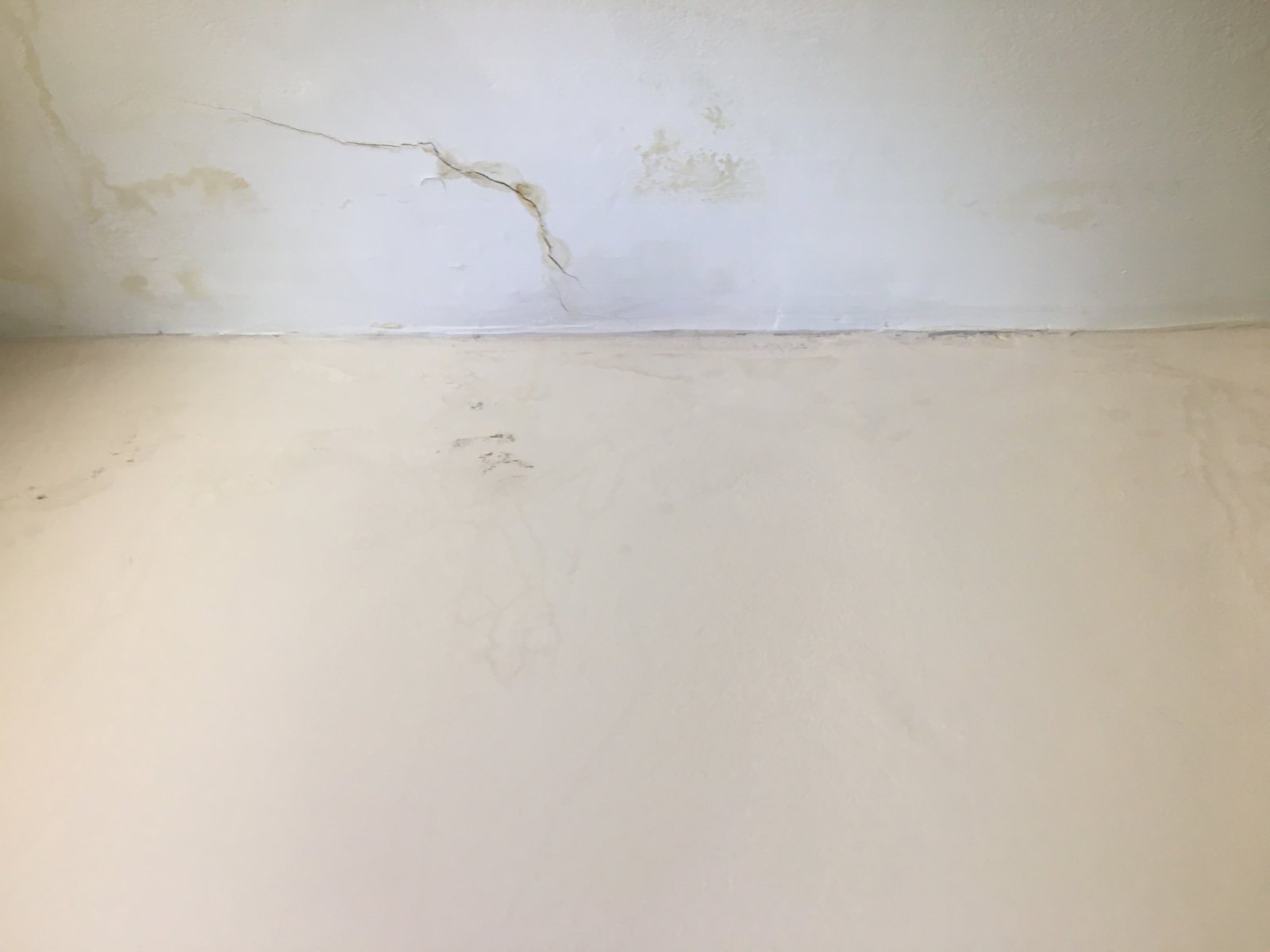 Damp patches what is the best way to paint over DIYnot Forums