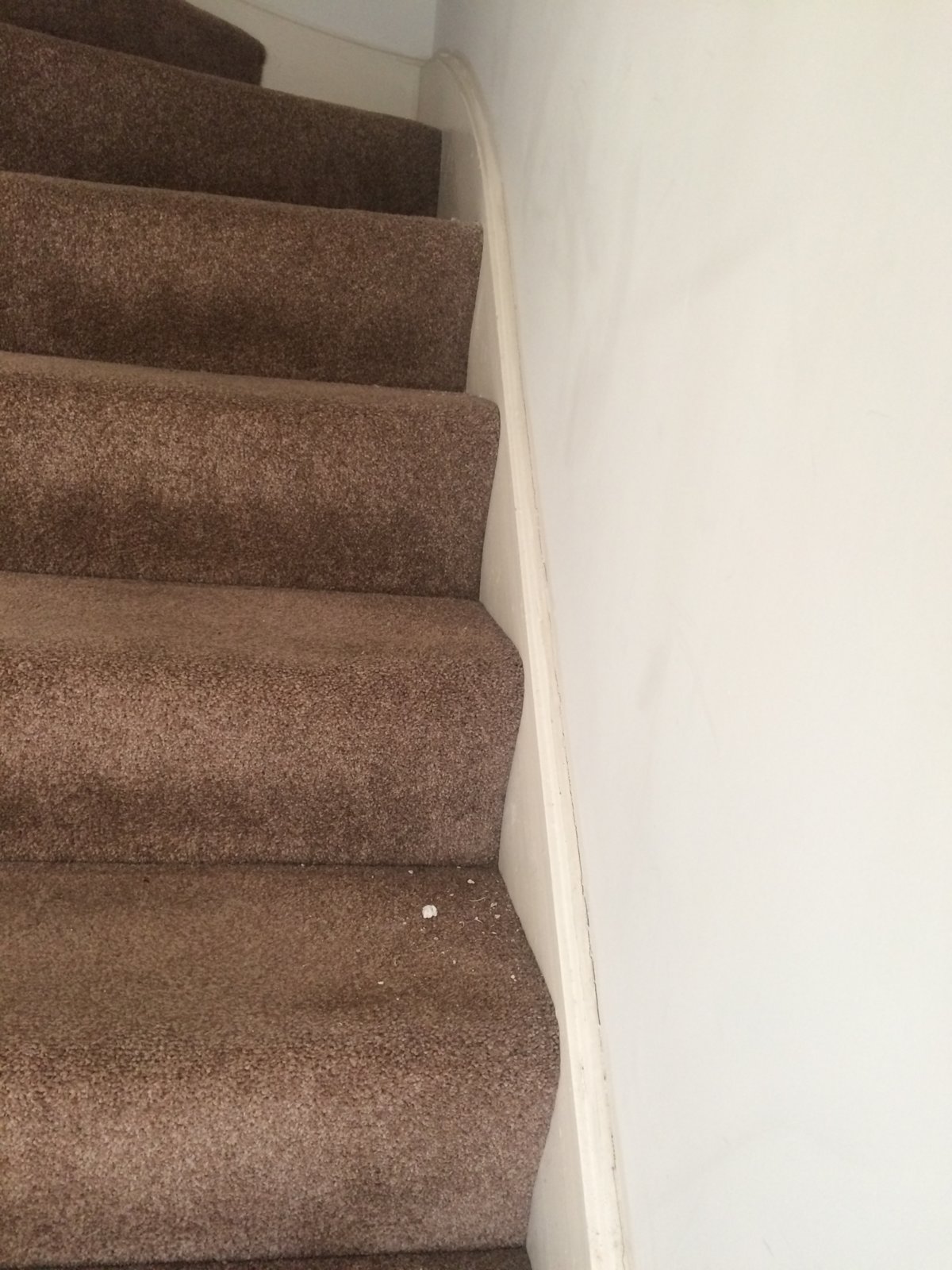 New bead for stair wall spring DIYnot Forums