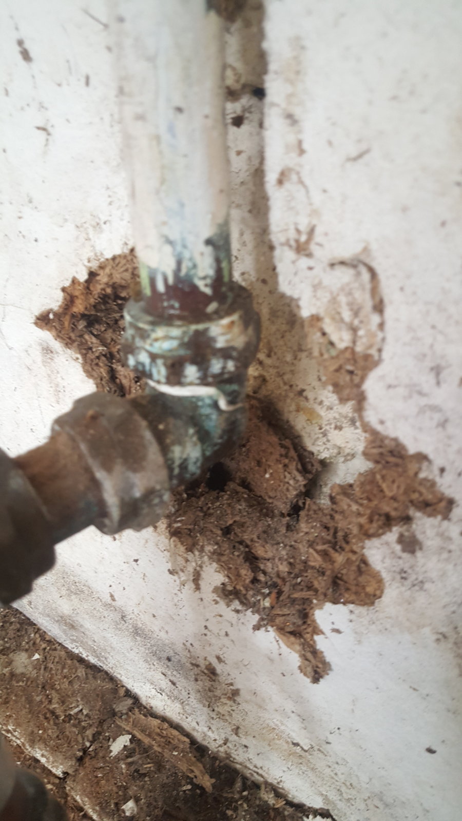 Leaking valves DIYnot Forums