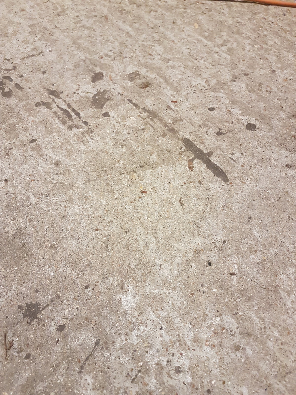 Garage Floor What To Cover DIYnot Forums