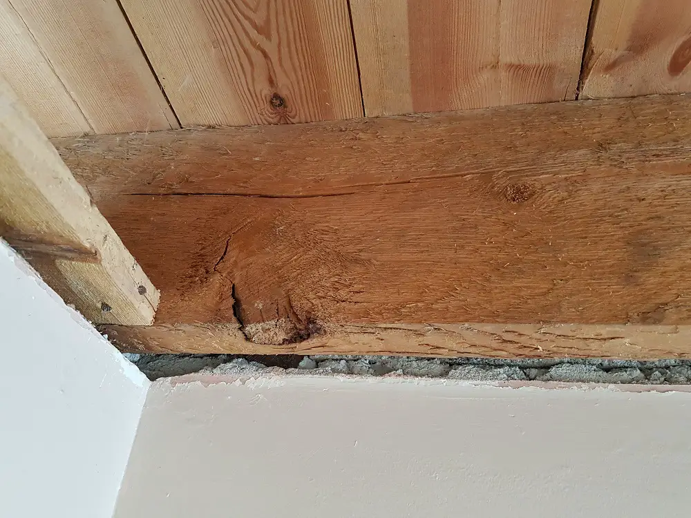 How To Reinforce This Floor Joist Diynot Forums