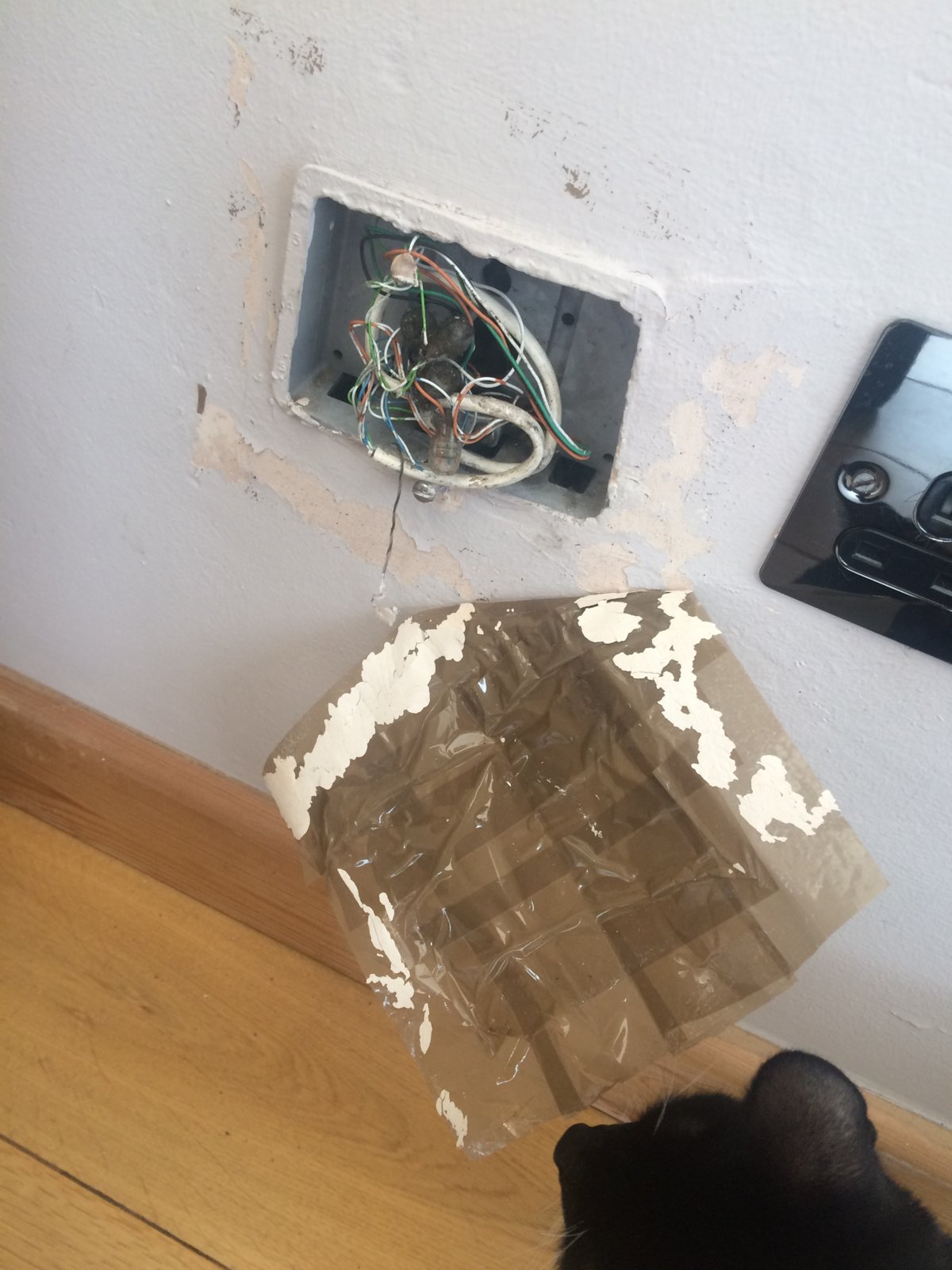 Outdoor Phone Wiring (Technically indoors) | DIYnot Forums