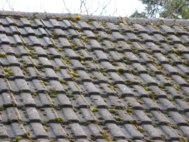 15 Concrete Roof Tiles.JPG