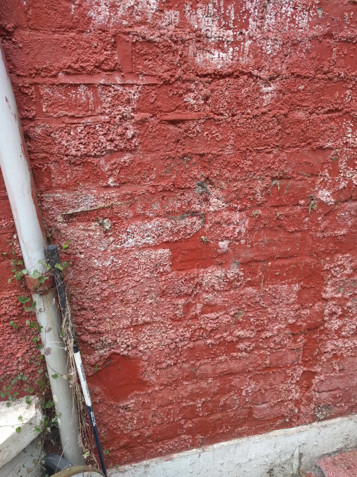 Damp painted external brick wall DIYnot Forums