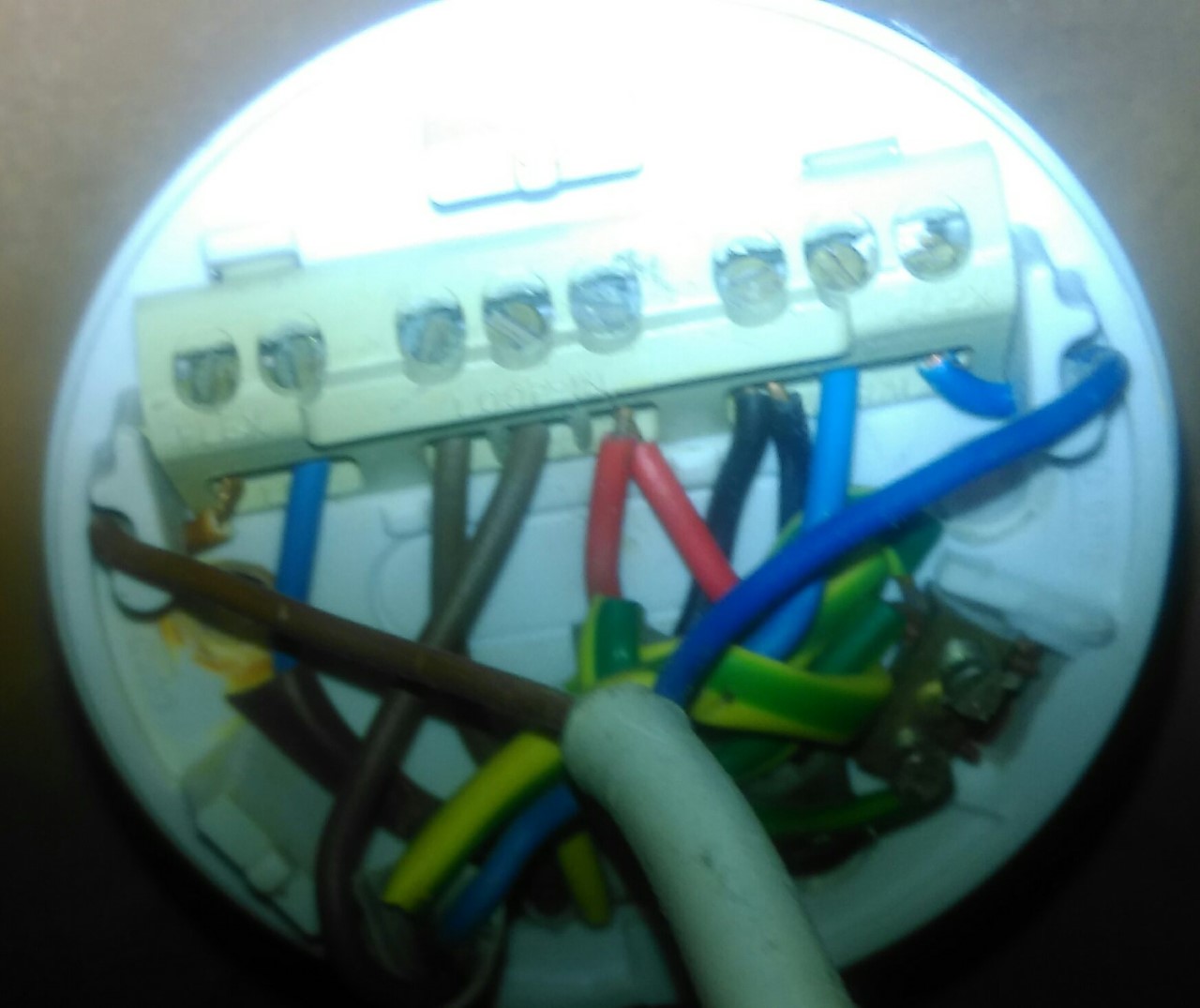 Wago Connectors For Old Rose Diynot Forums