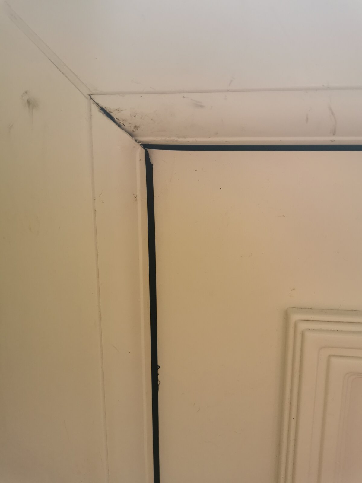 Odd? Beading to remove pvc panel DIYnot Forums