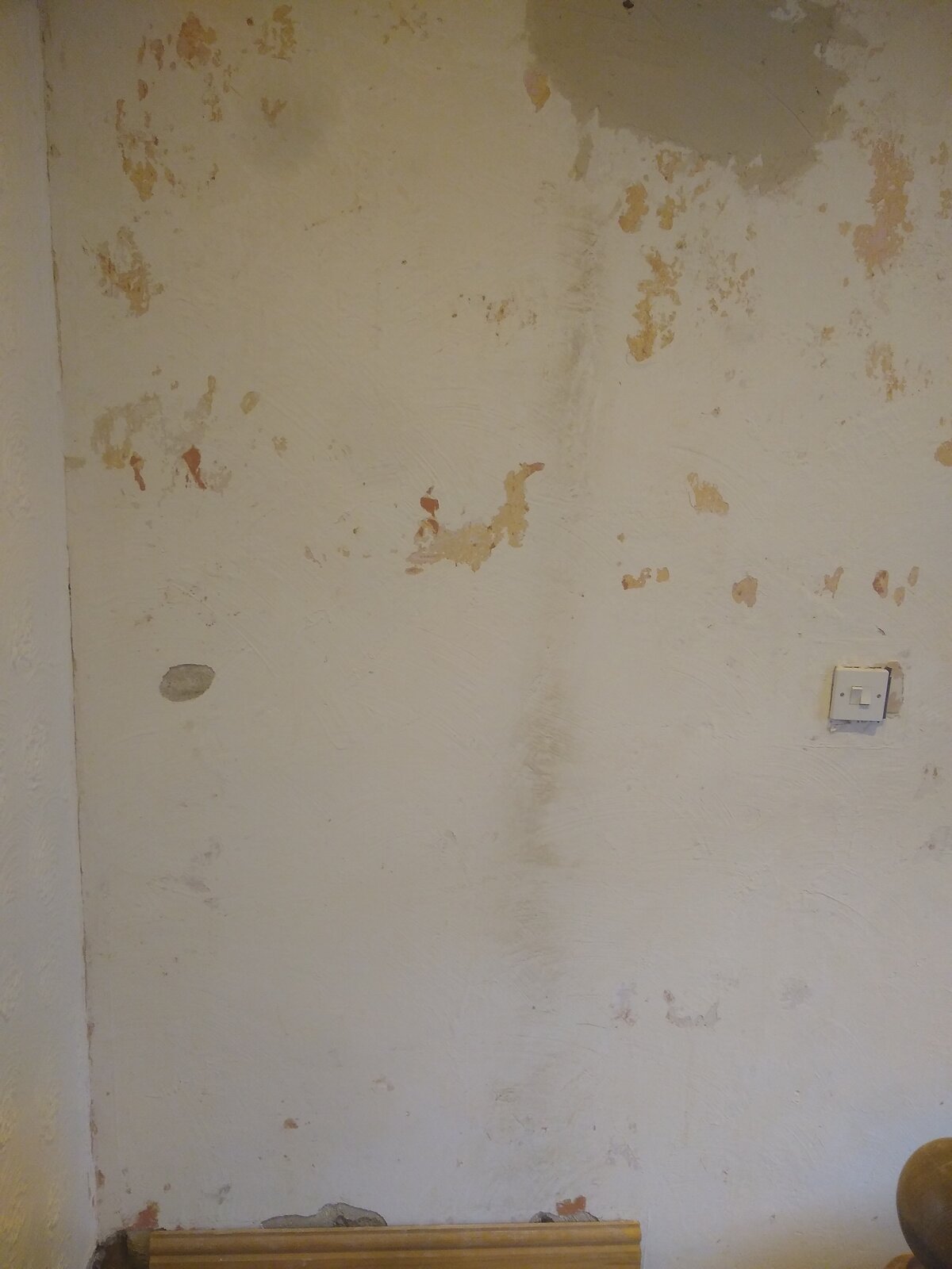 PVA before blue grit? DIYnot Forums