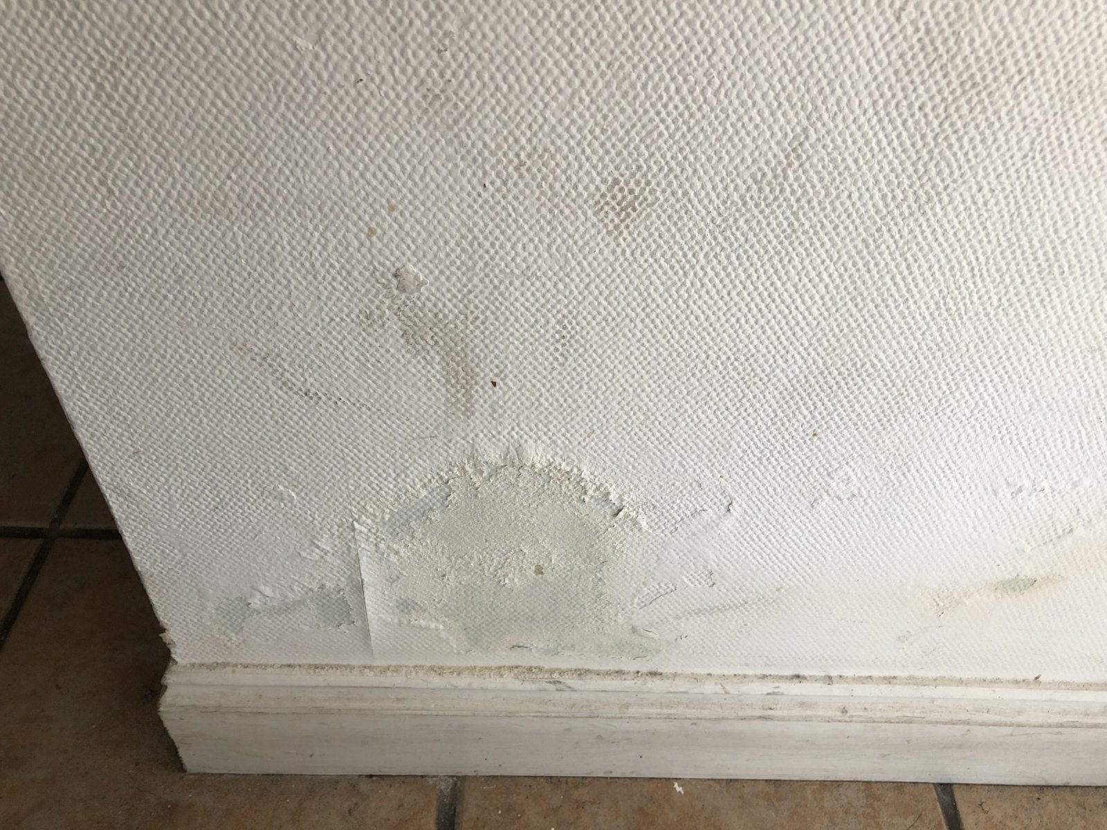 How to tell cause of flaking paint, damp ? DIYnot Forums