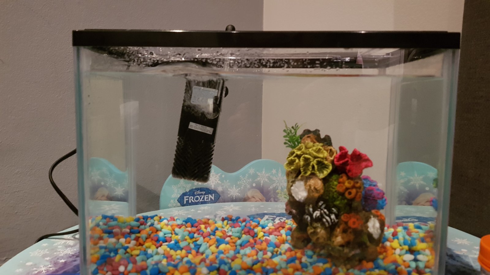 Does anybody know much about fish tank filters? DIYnot Forums