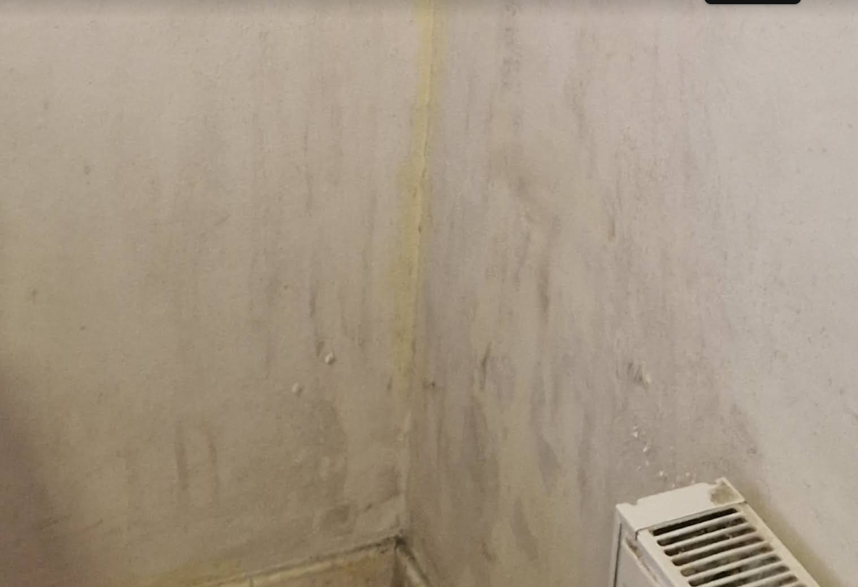 Paint falling off DIYnot Forums