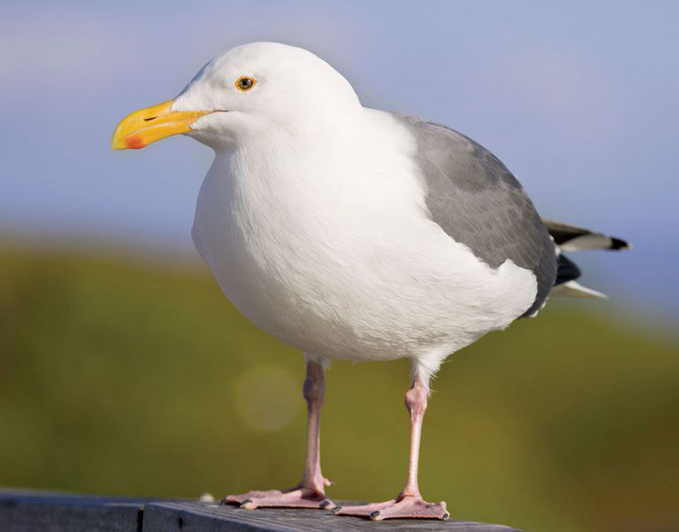 1786017414728.png