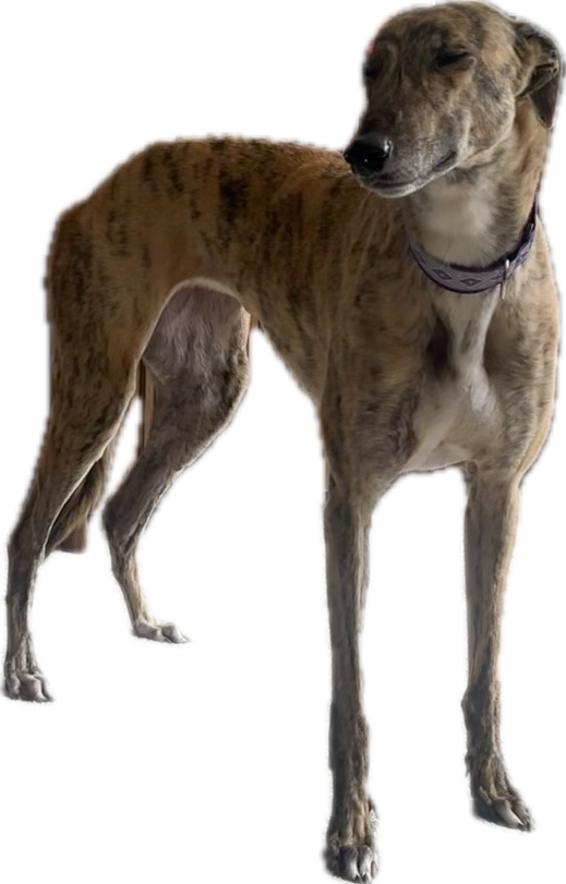 1788776834702.png