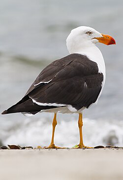 1789574530332.png