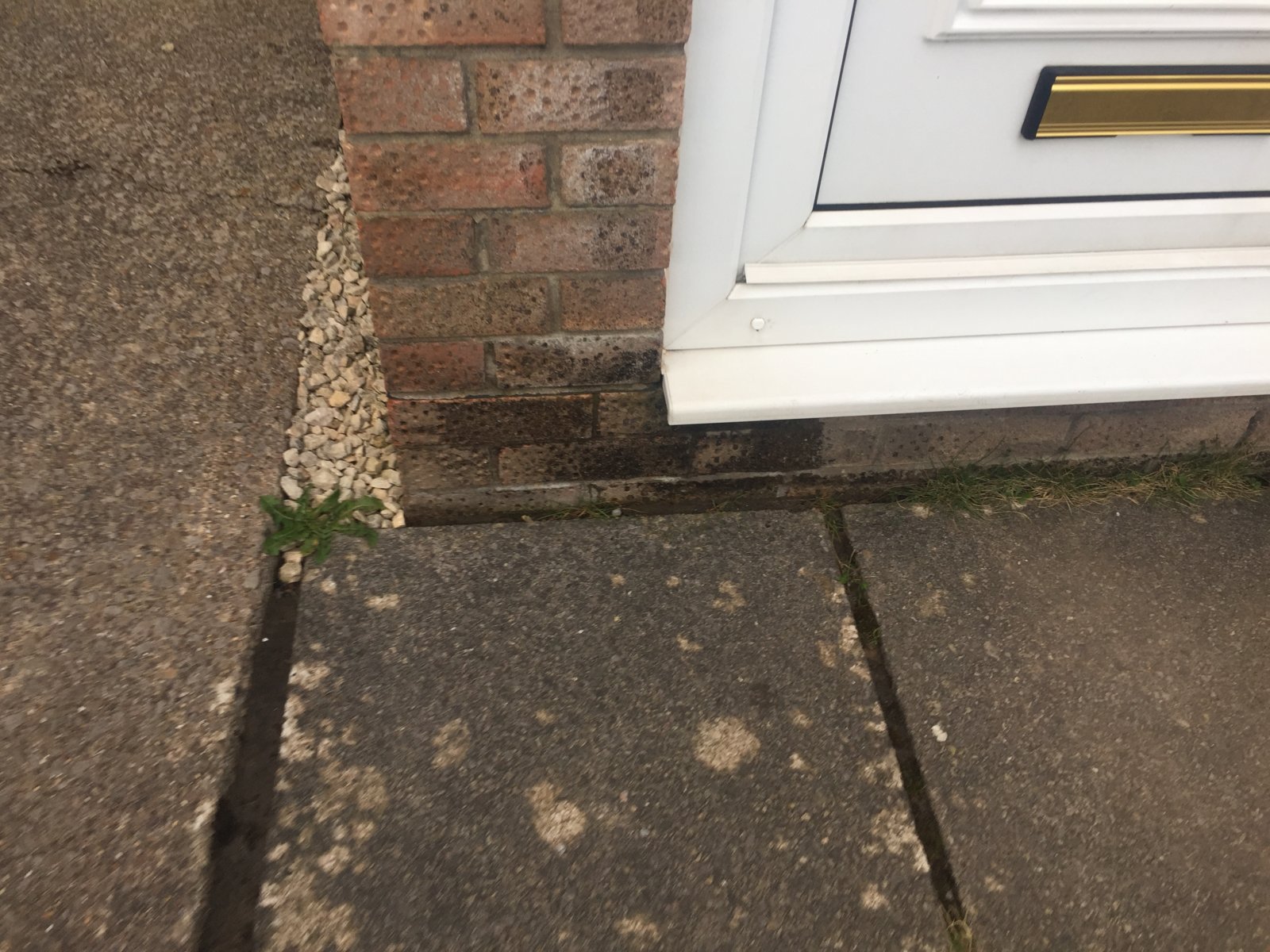Damp on outside brickwork DIYnot Forums