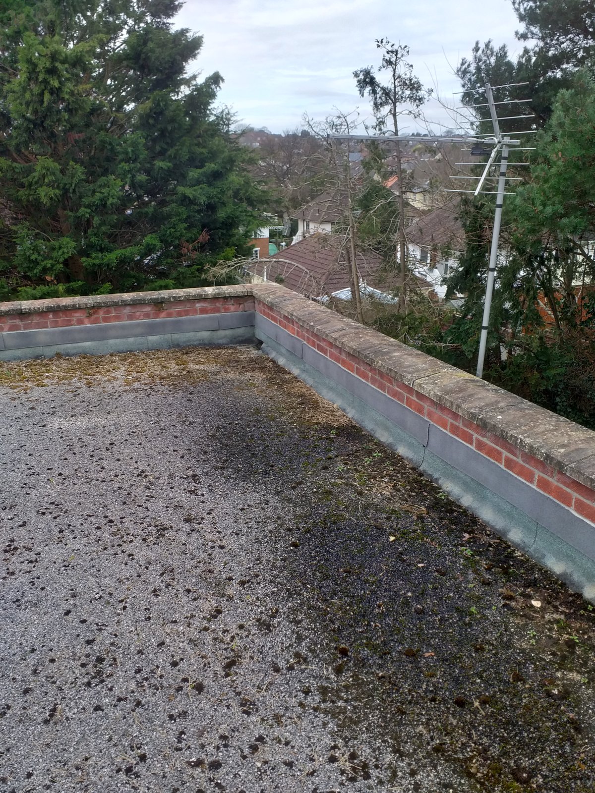 Is my flat roof leaking? DIYnot Forums