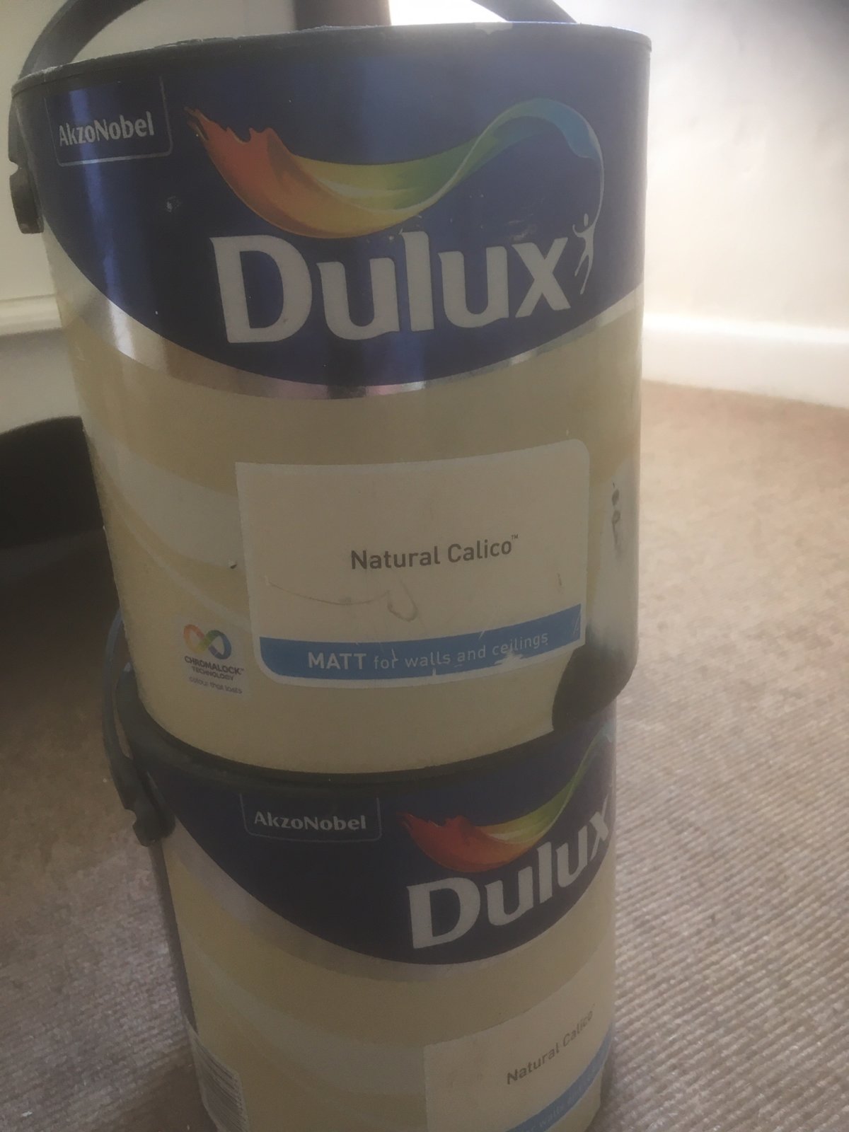 Paint keeps cracking DIYnot Forums